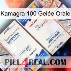 Kamagra 100 Gelée Orale kamagra1